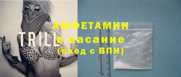 амф Алексин