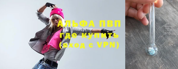 амф Алексин