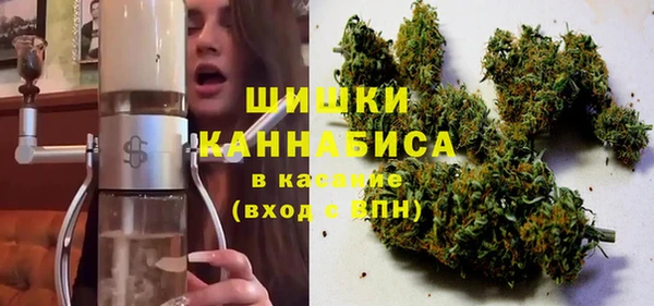 амф Алексин