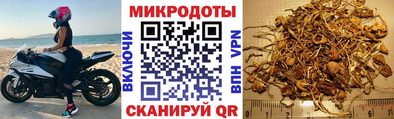 hydra tor  Ардон  Псилоцибиновые грибы прущие грибы 